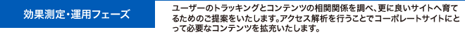 効果測定・運用フェーズ